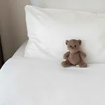 Hotel Plaza Premium Center Haga