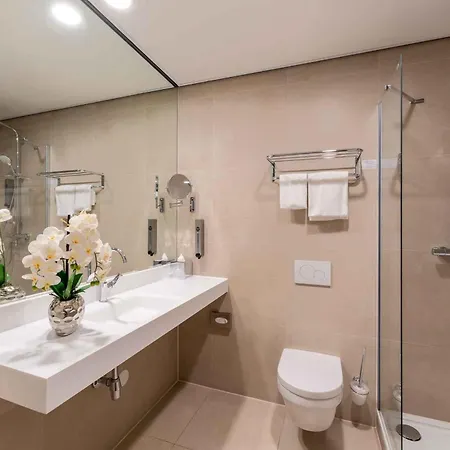 Plaza Premium Center 4* 海牙